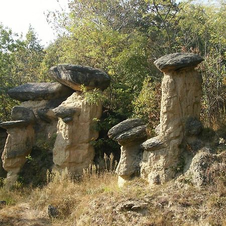 مبيت وإفطار Villar San Costanzo Il Barucin المظهر الخارجي الصورة